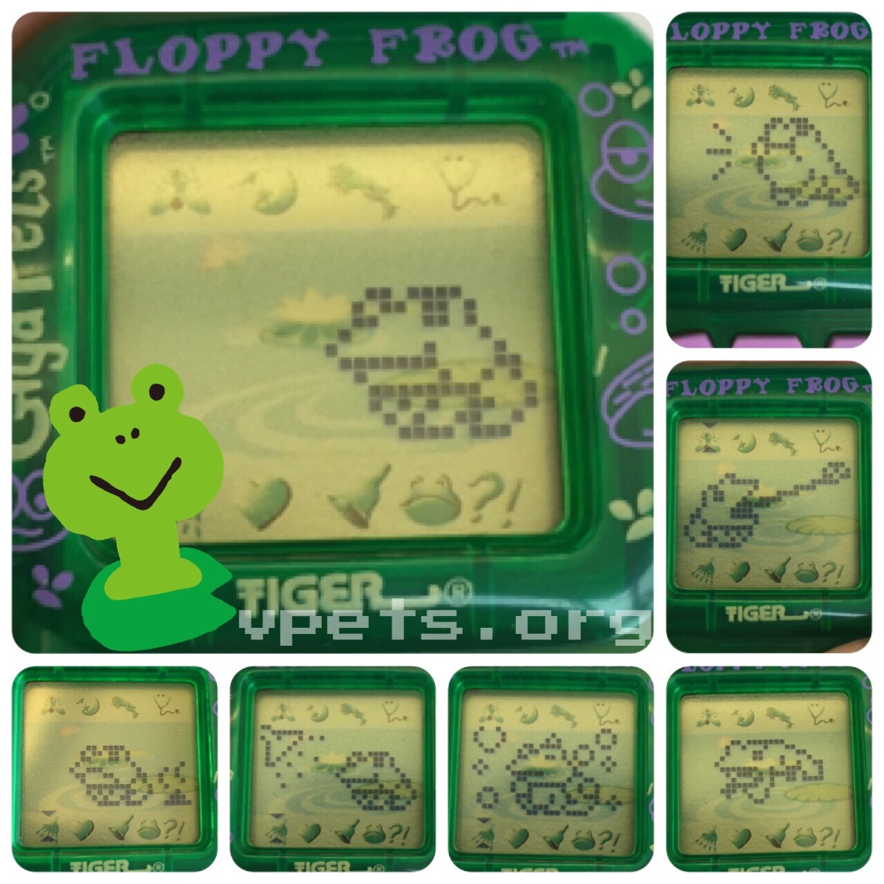 Floppy Frog Adult